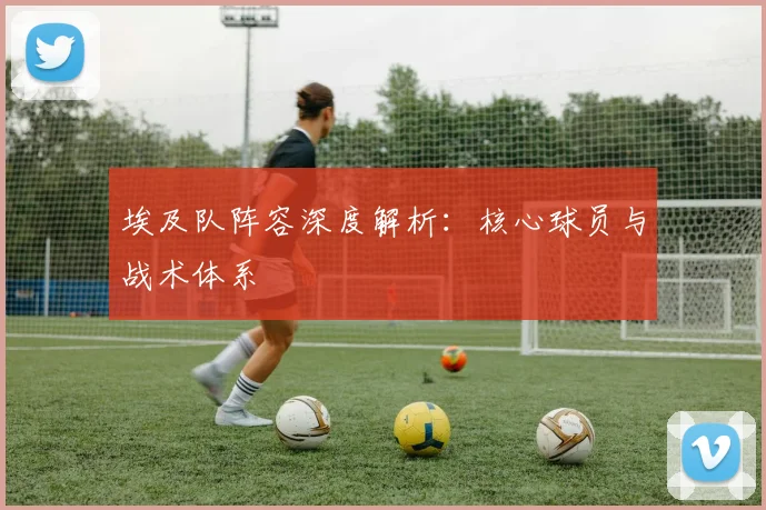 埃及队阵容深度解析:核心球员与战术体系