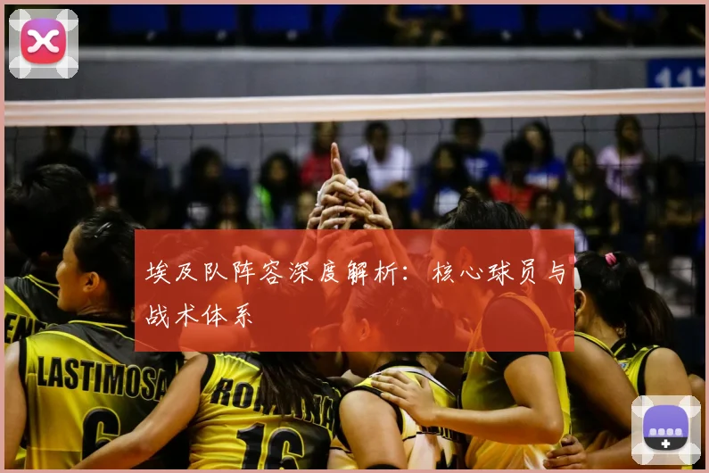 埃及队阵容深度解析:核心球员与战术体系
